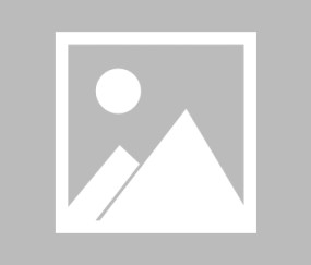 爱游戏-iconscout官网入口